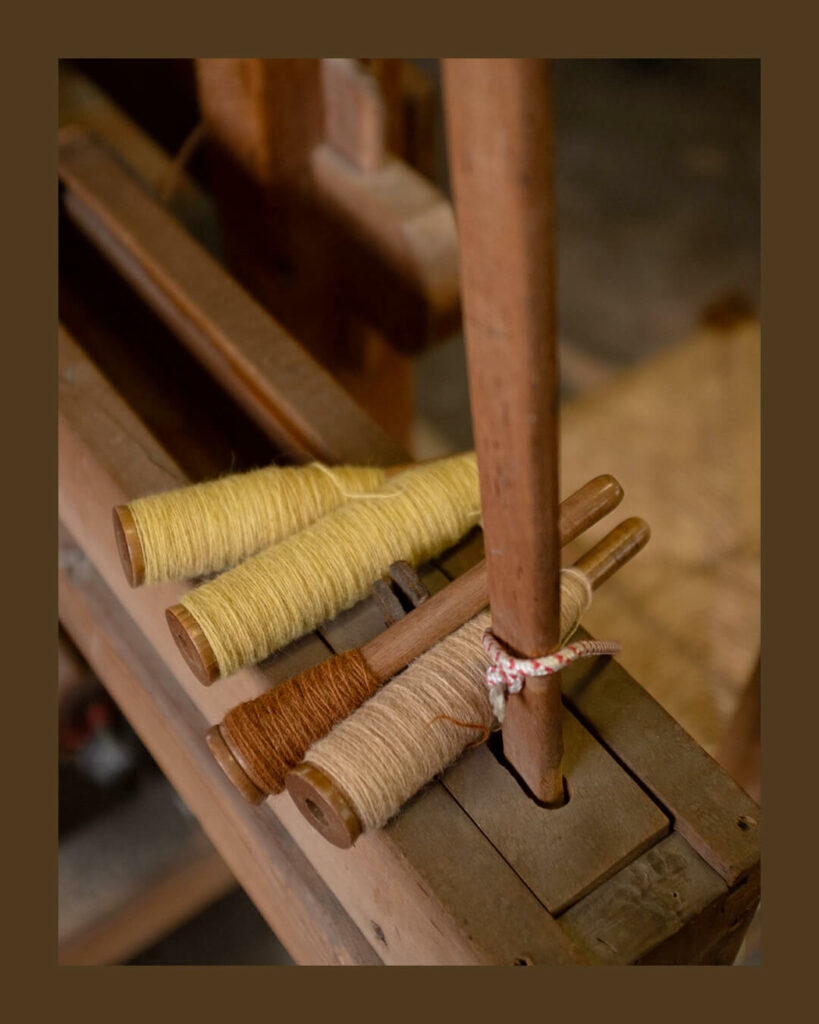 A.Vetra-DearNatureStill03