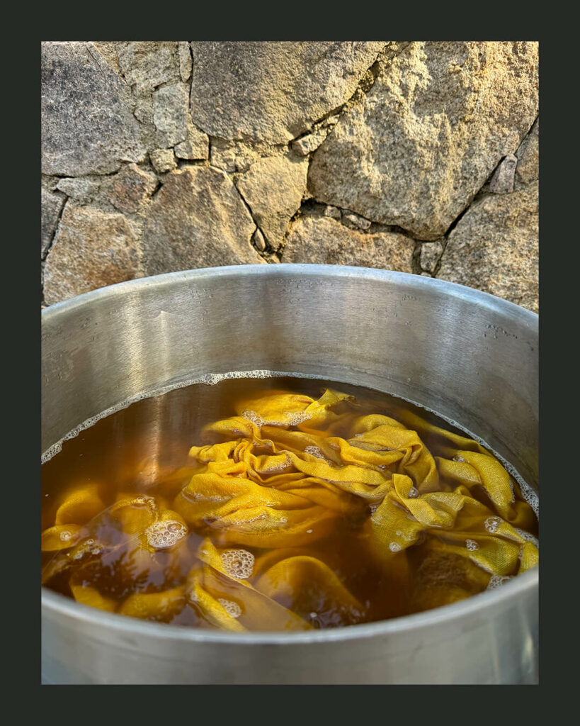 DAVIA-Tintura-Corsa---making-of-#4