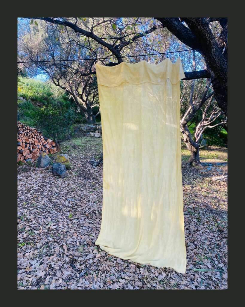 DAVIA-Tintura-Corsa---rideaux-#2