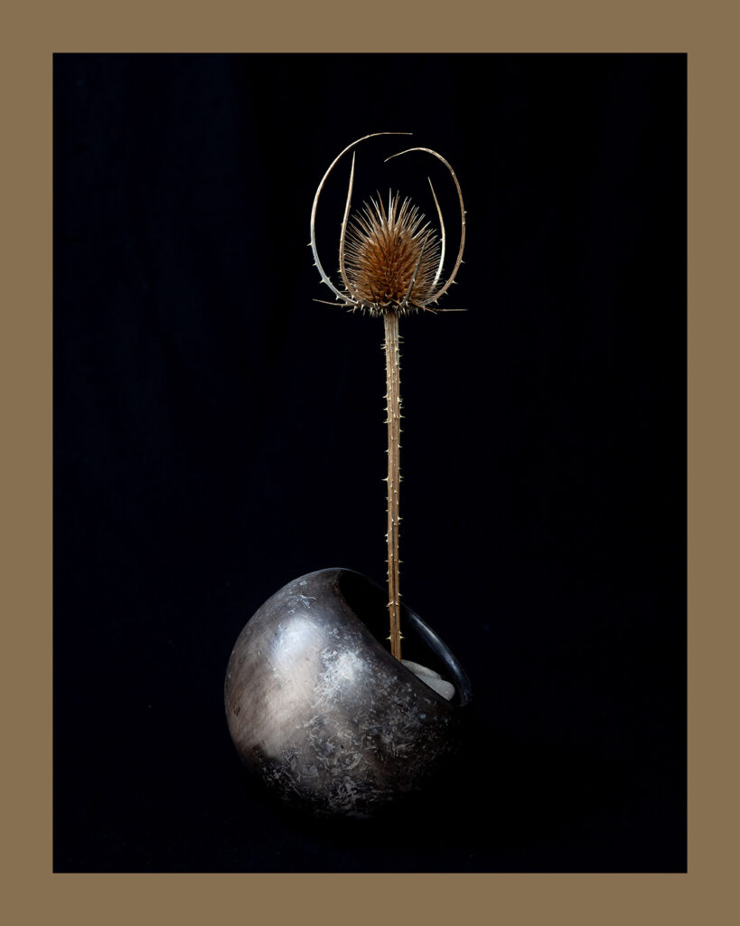 MEA1_NathalieRoverato