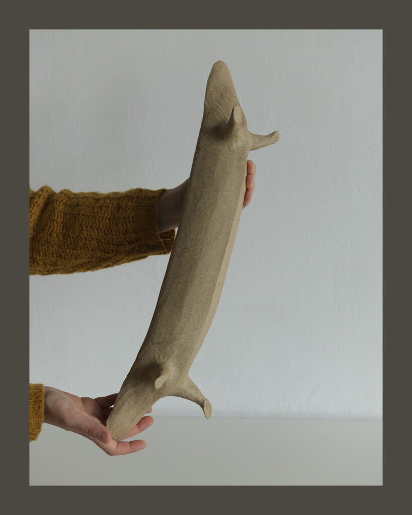 MEA2_Lézard_tenu-en-main_JBC