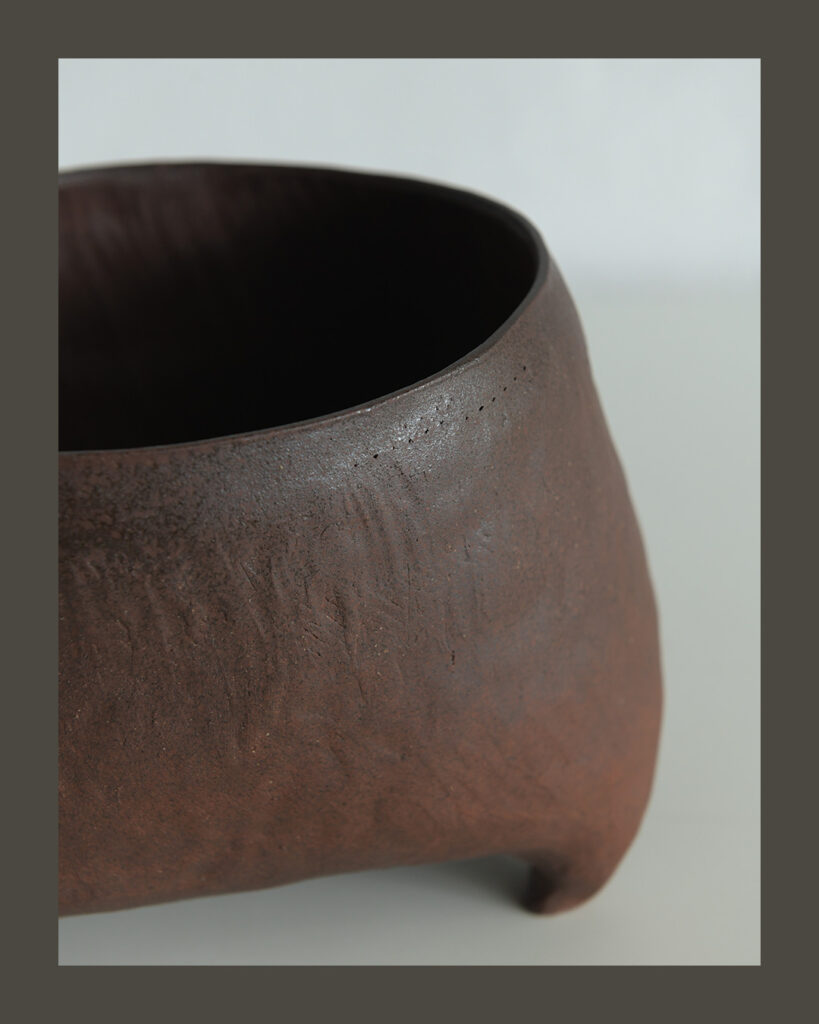 MEA4_Erymanthe_détail_JBC