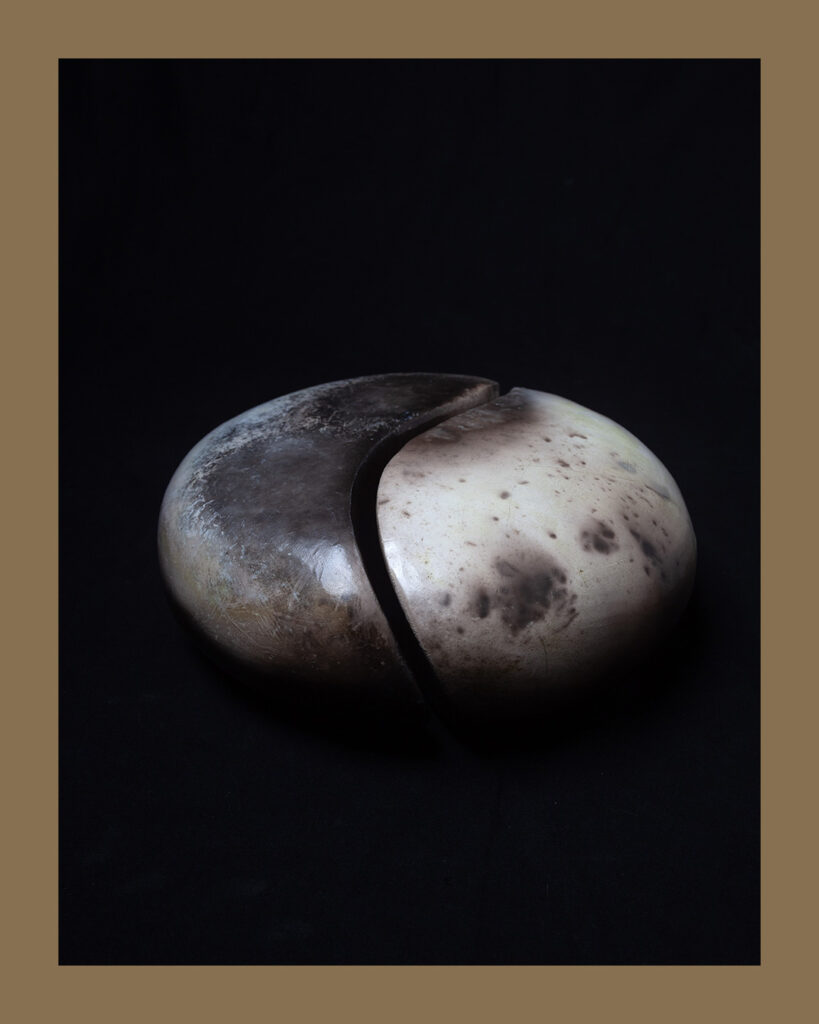 MEA4_NathalieRoverato