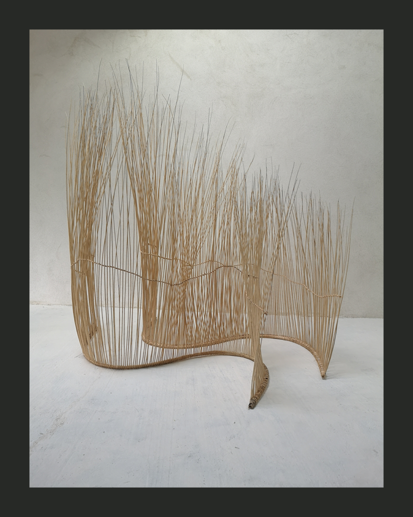 MEA1_Tressages-Pas-Sages