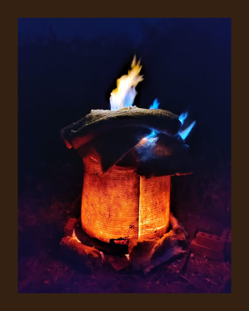 MEA5_ChristineLouviaux